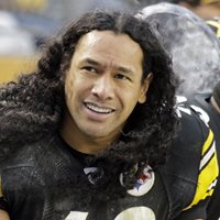 Troy Polamalu